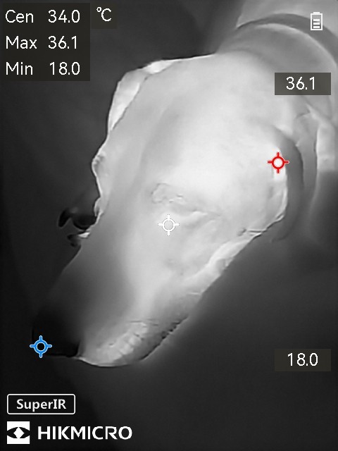 Hikmicro Minix Screenshots