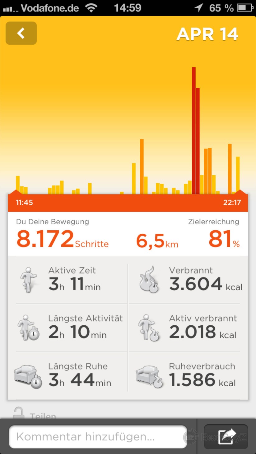 Anzeige der gegangenen Schritte