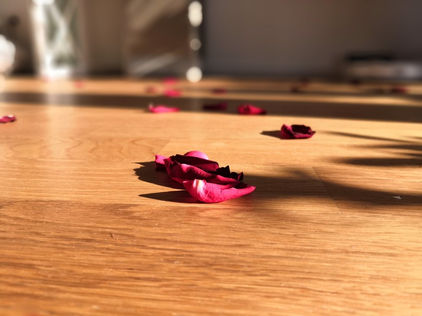 Aufnahme bei Tageslicht mit künstlicher f/0,95 Blende