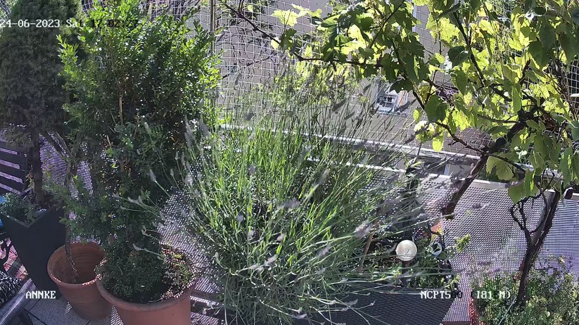 Annke NCPT500: Testaufnahmen