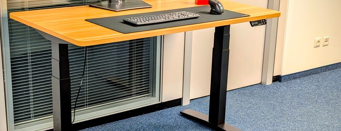 Flexispot E9