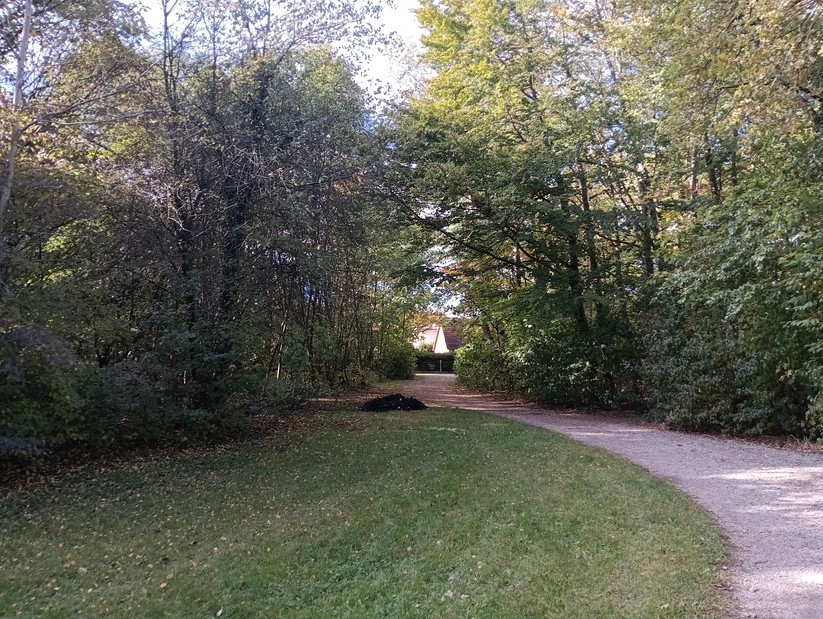 Cat S75 - Originalaufnahmen