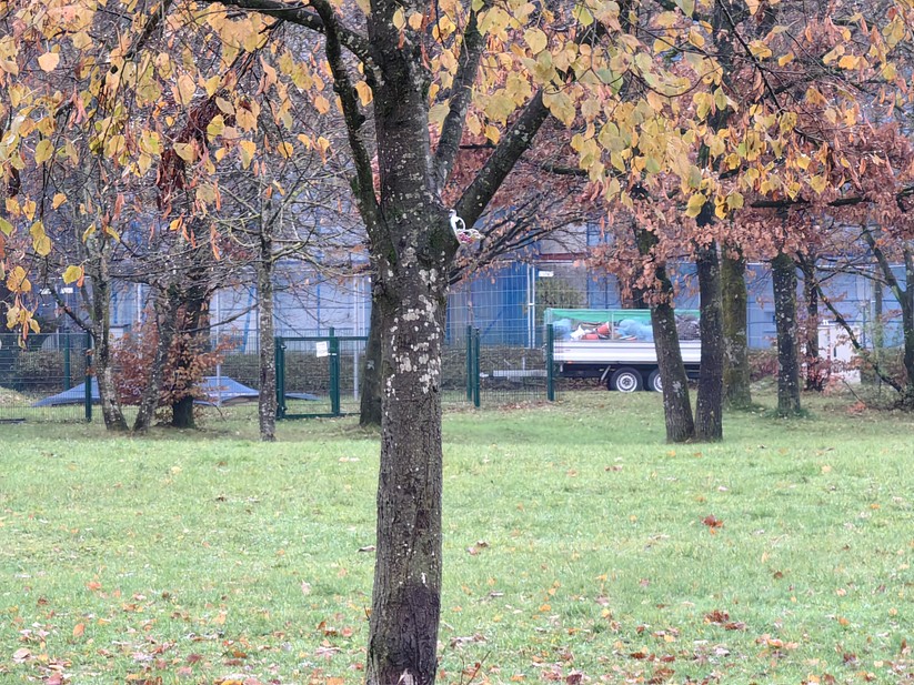 Huawei Mate 50 Pro - Originalaufnahmen