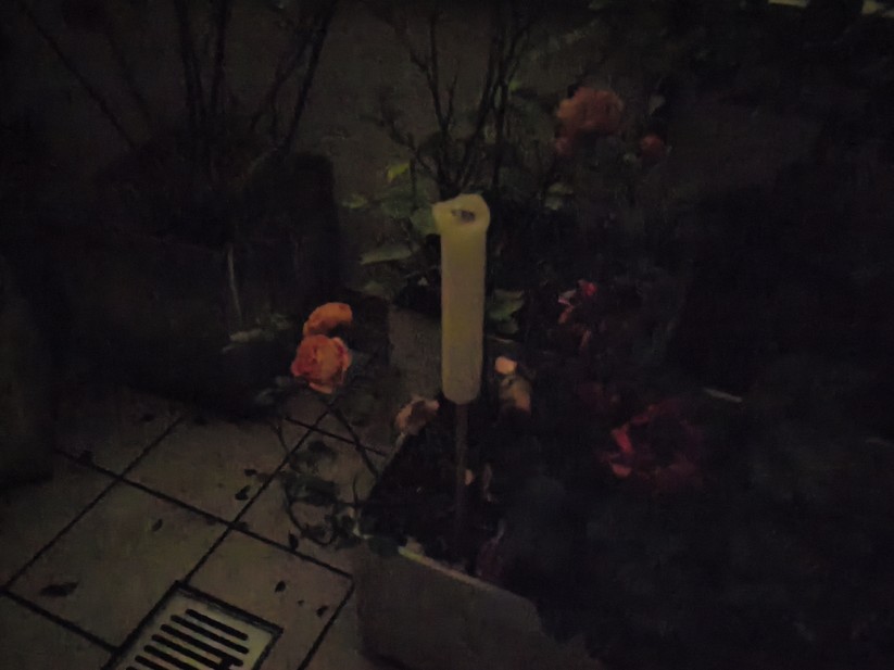 Honor 400 - Originalaufnahmen