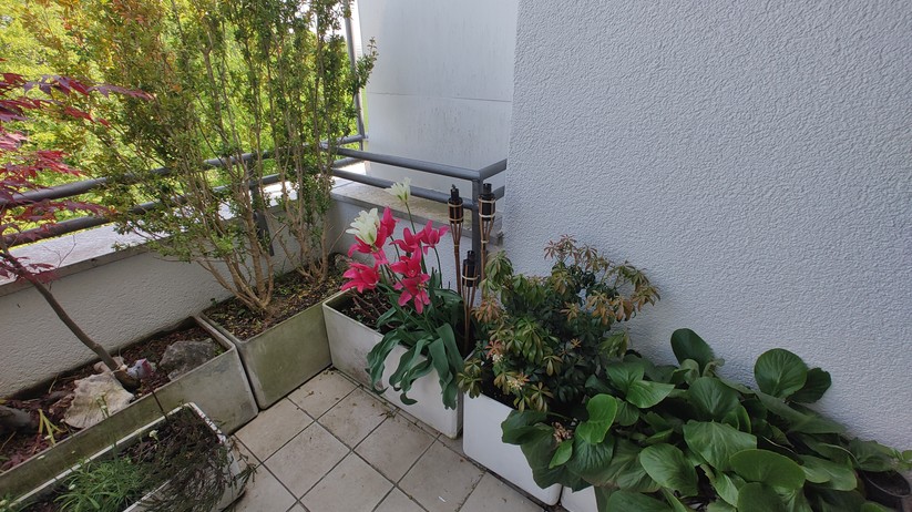 Motorola Edge 30  - Fotos