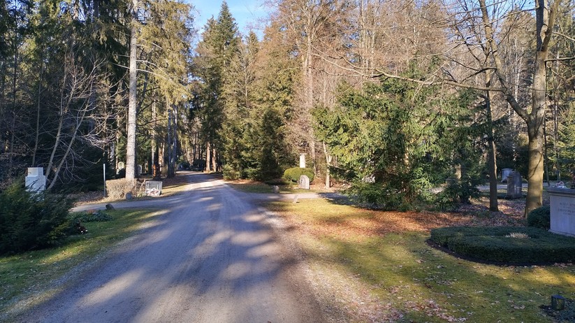 Fotoaufnahme des Nokia 5.4