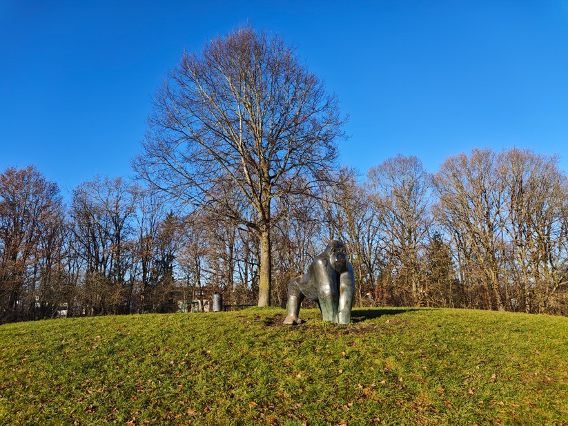 Poco F8 Pro - Originalaufnahmen 