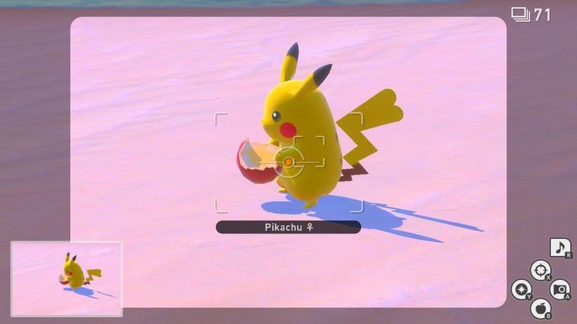 New Pokemon Snap 31