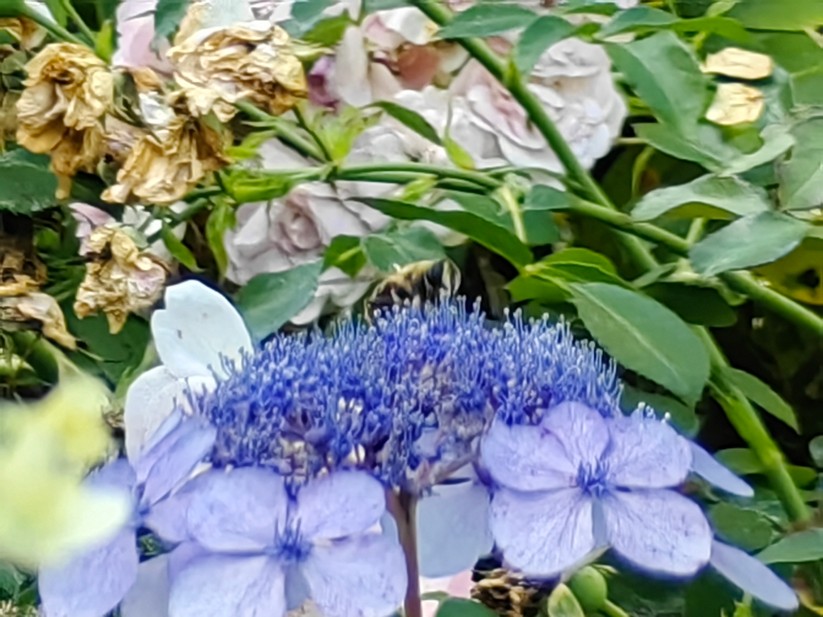 Huawei Mate Xs 2