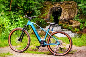 E-Mountainbike Cube Reaction Hybrid Race 750 im Test: Bosch CX, 750 Wh, 2550 €