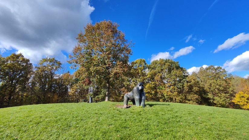 Xiaomi 12T Pro - Originalaufnahmen