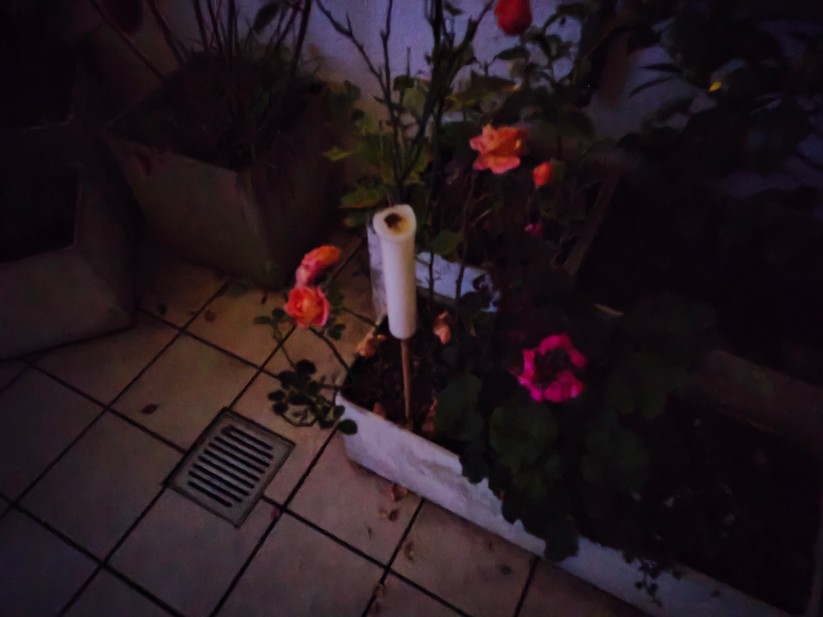 Realme 14 Pro+ 5G - Originalaufnahmen