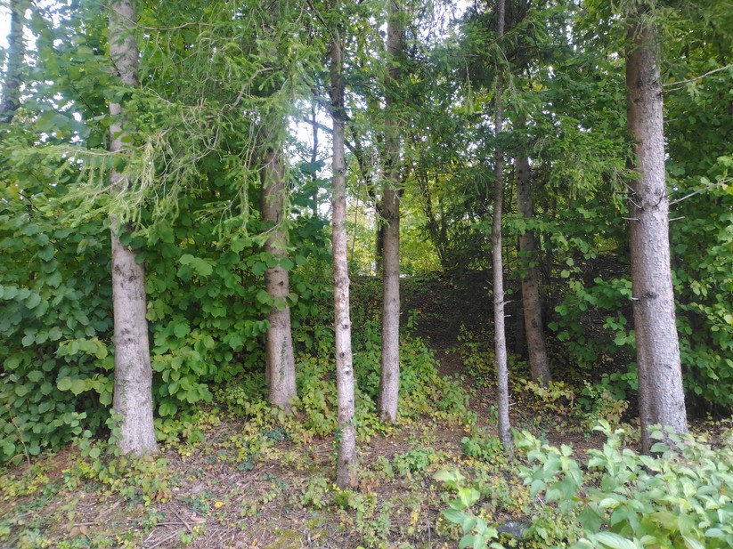 AGM Glory G1S - Originalaufnahmen