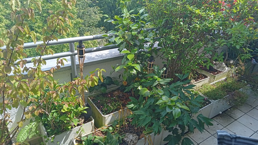 Fotos des Nokia G10