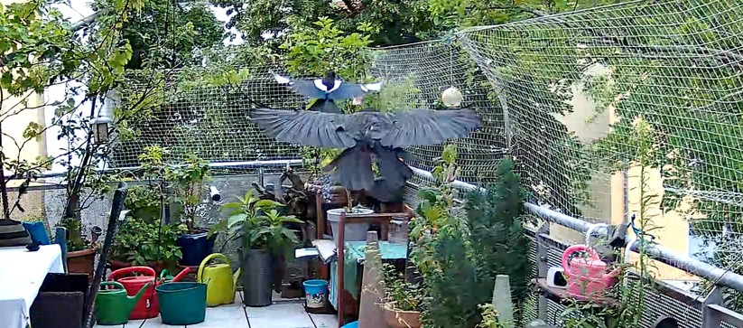 Reolink E1 Outdoor Pro im Test: PTZ-Überwachungskamera mit 4K und optischem Zoom 