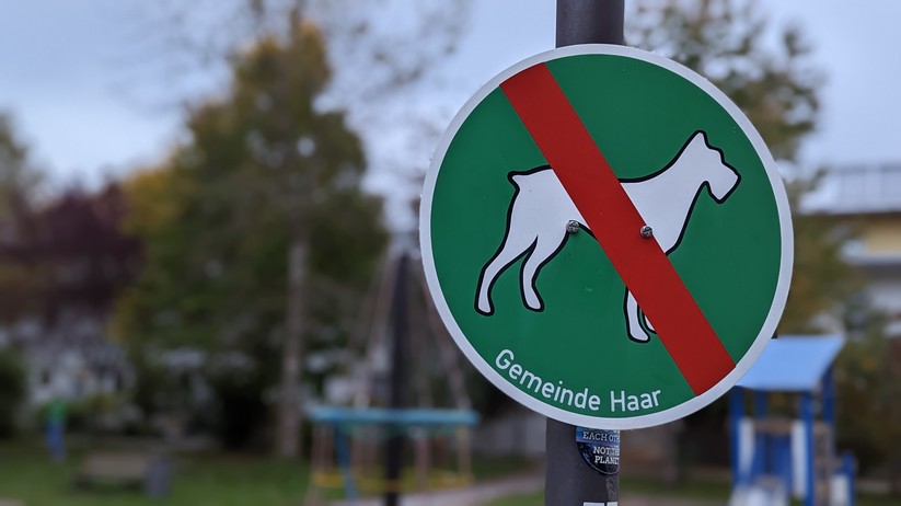 Google Pixel 7 Fotos