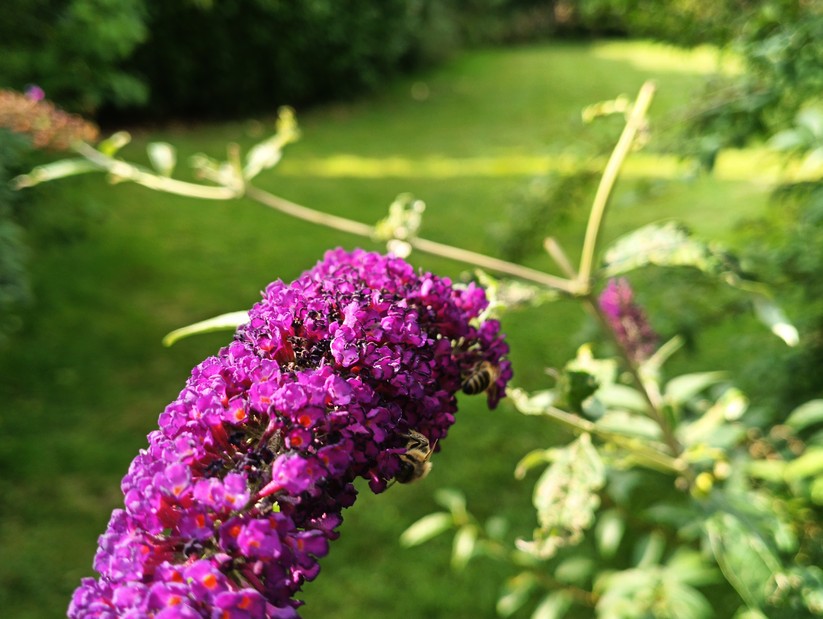 Blackview BV8200 - Originalaufnahmen