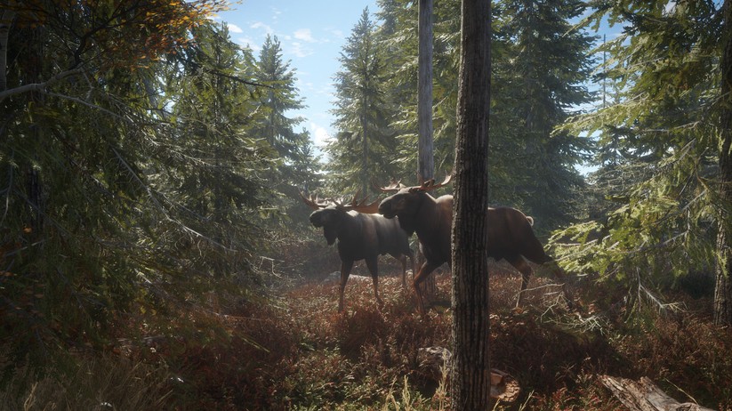 theHunter