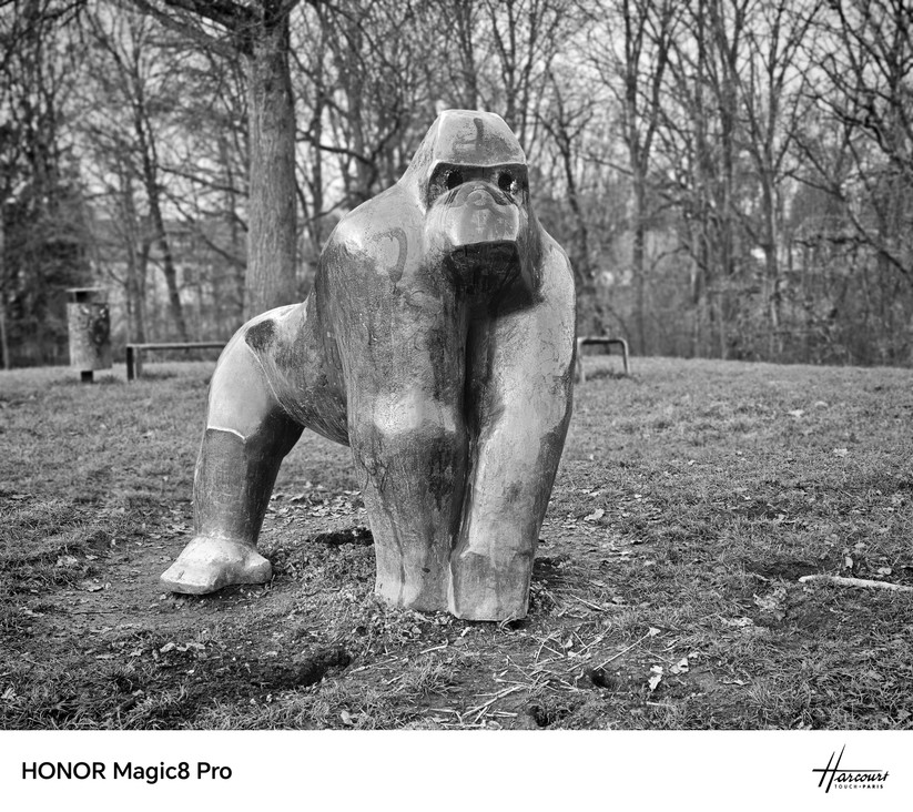 Honor Magic 8 Pro - Originalaufnahmen 