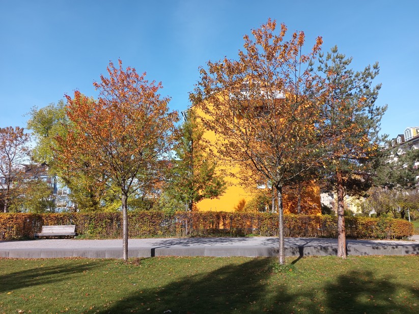 Oukitel WP60 - Originalaufnahmen