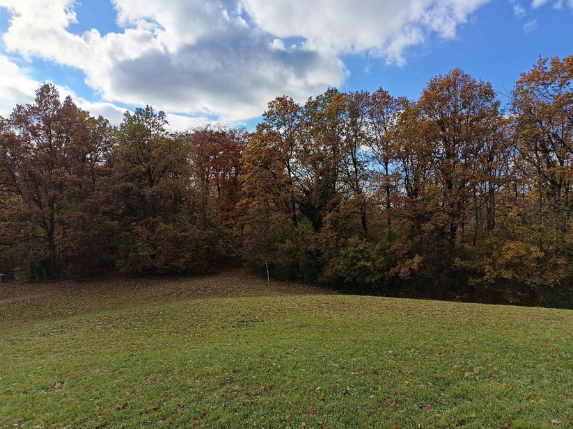 Oscal Tank 1 - Originalaufnahmen 