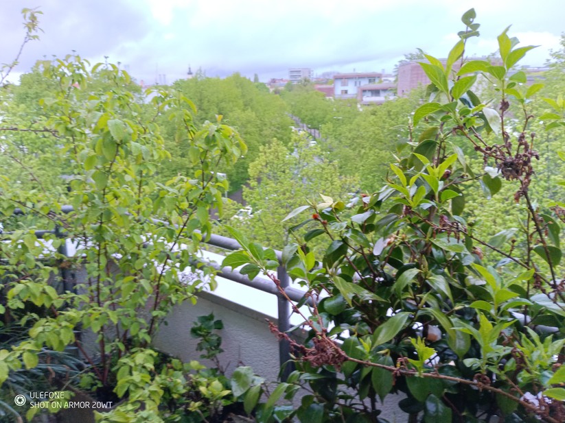 Ulfeone Armor 20WT - Originalaufnahmen