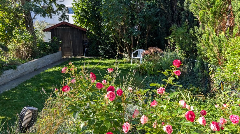 Google Pixel 10 Fotos