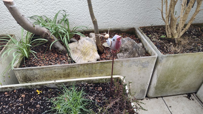 Motorola Edge 30 Pro - Originalaufnahmen