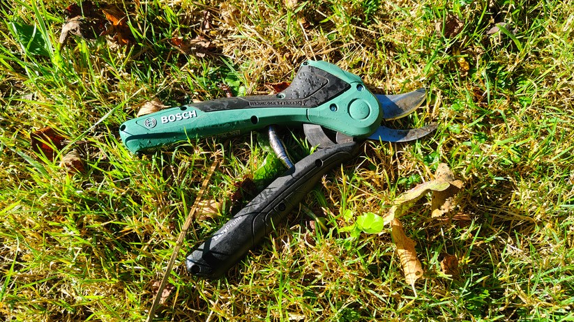 Bosch Easyprune