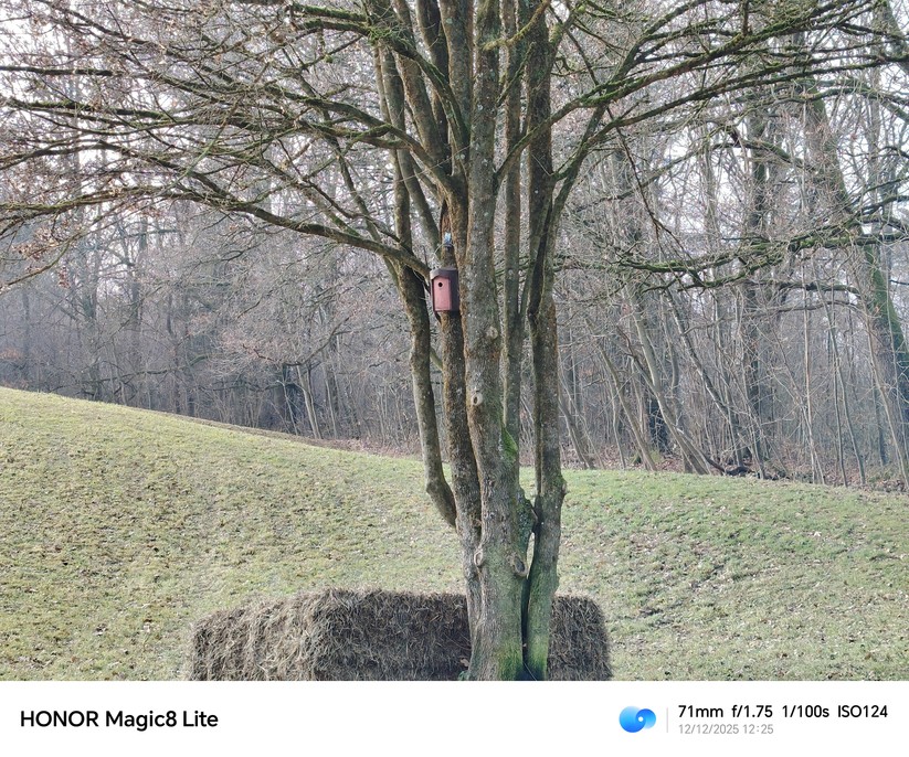 Honor Magic 8 Lite - Originalaufnahmen