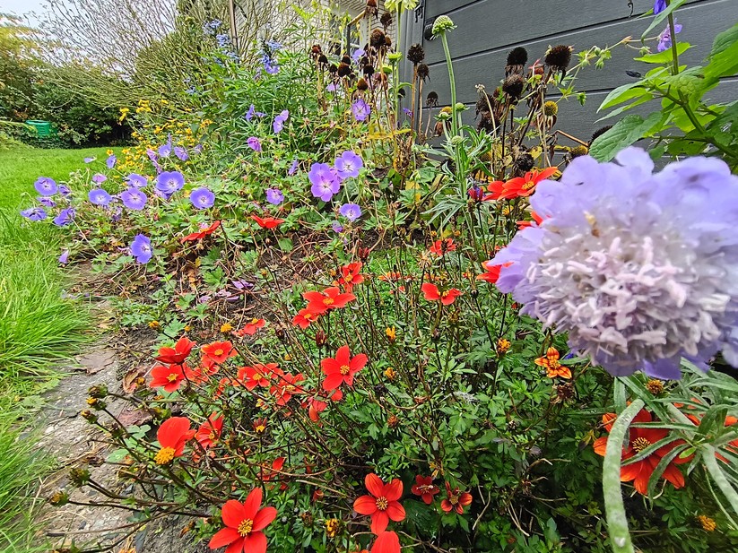 Motorola Moto G56 5G – Originalaufnahmen