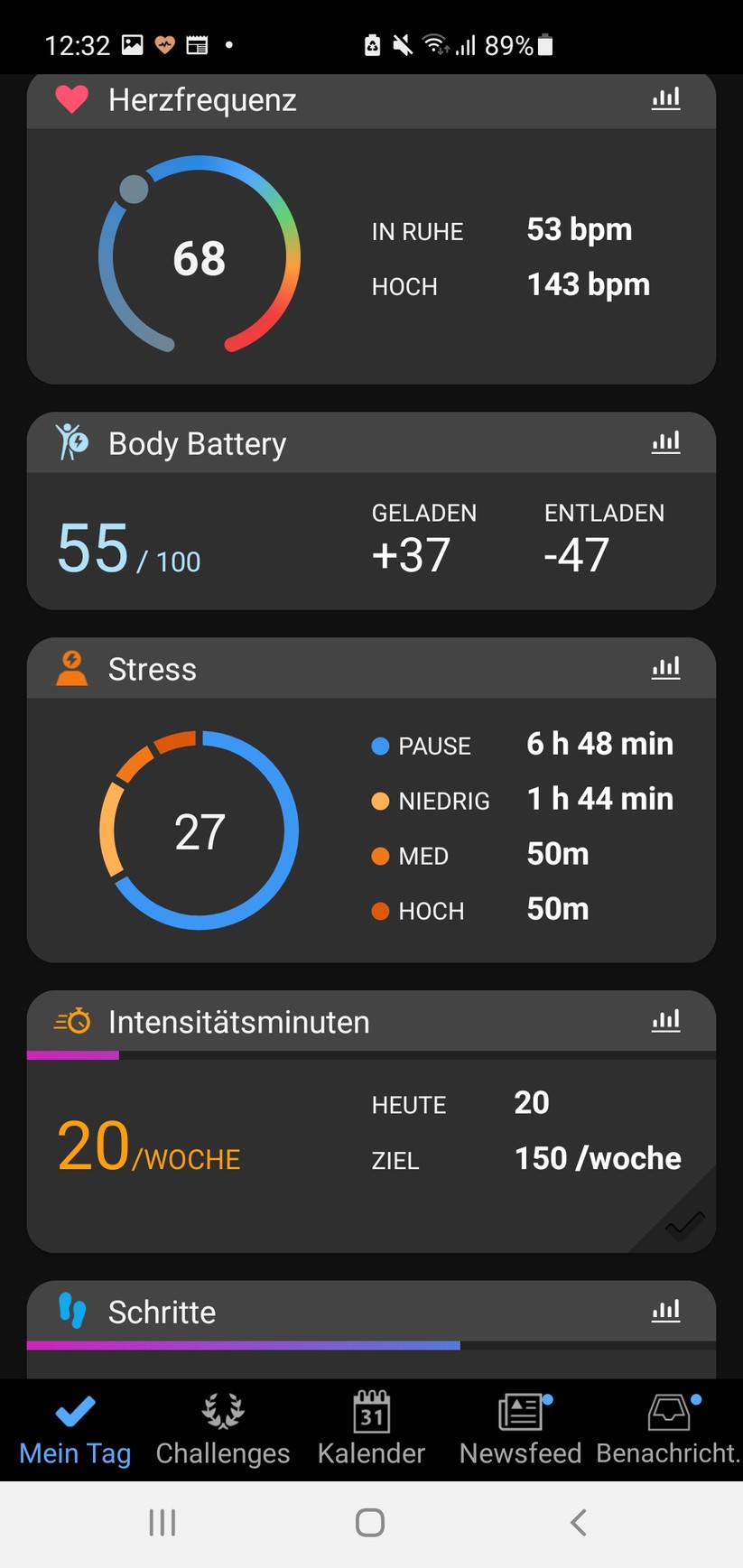 Garmin Enduro 2