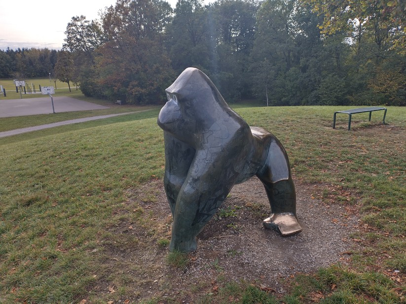 Nokia XR21 - Originalaufnahmen 