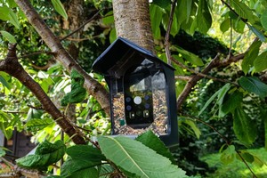 Bozily Vogelhaus mit Kamera im Test