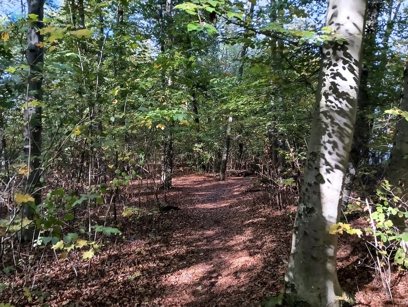 Cat S75 - Originalaufnahmen