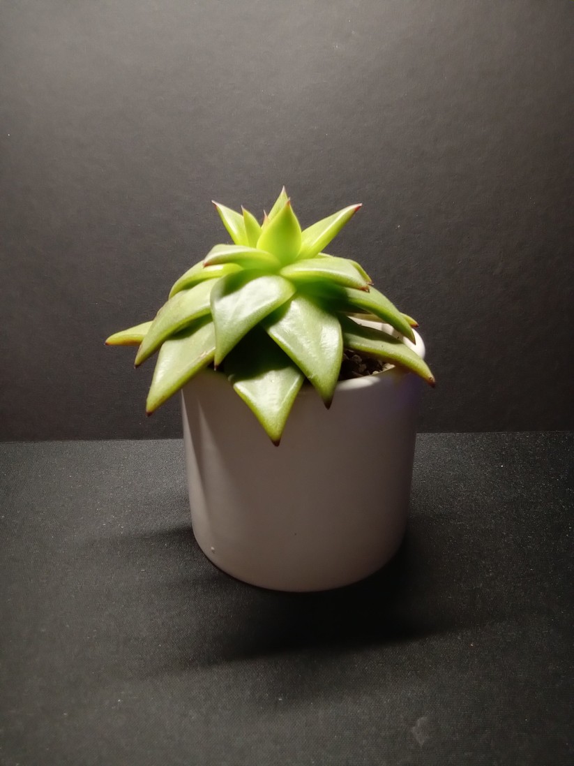 Motorola Moto G13 - Originalaufnahmen 