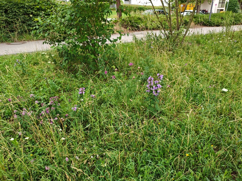 Xiaomi Poco F7 - Originalaufnahmen 