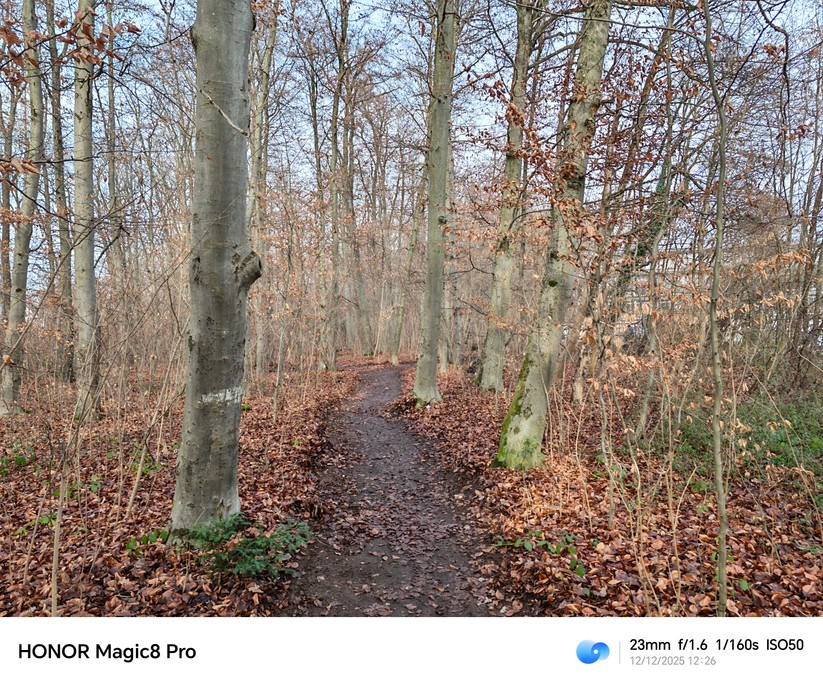 Honor Magic 8 Pro - Originalaufnahmen 