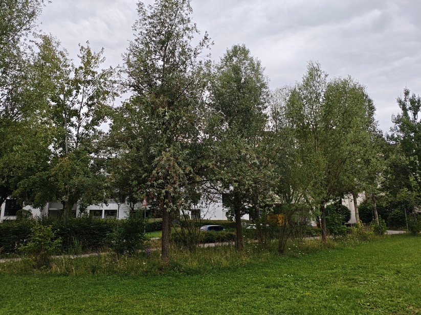 Xiaomi Poco F7 - Originalaufnahmen 