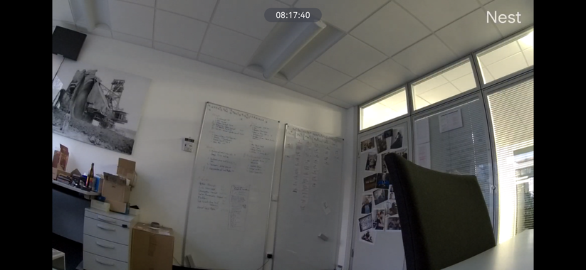 Aufnahmen bei Tageslicht sind scharf, aber farblos