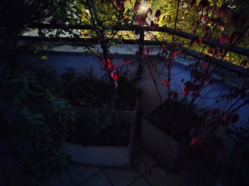 Realme 14 Pro+ 5G - Originalaufnahmen