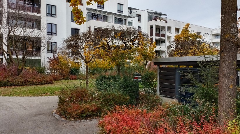 Fotos mit dem Vivo Y72 5G