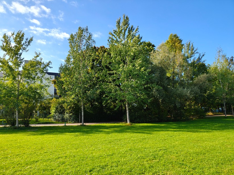 Realme 14 Pro+ 5G - Originalaufnahmen