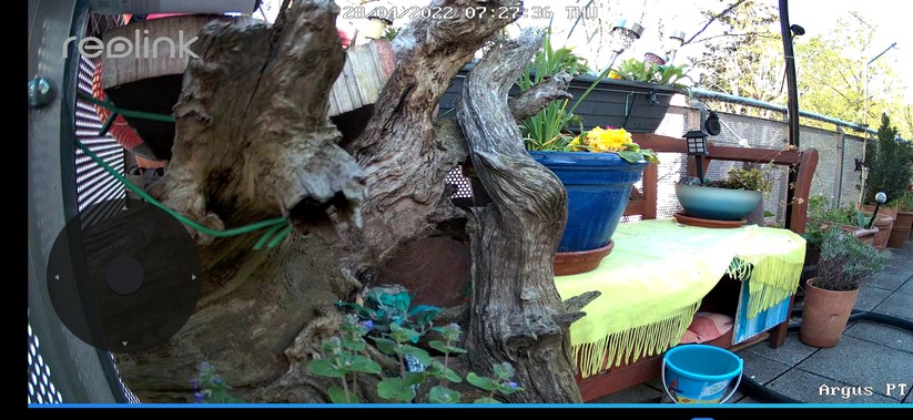 Das Objektiv der Reolink Argus PT lässt sich schwenken und neigen. Damit bietet sie horizontal ein Sichtfeld von 355°, vertikal sind es 140°.