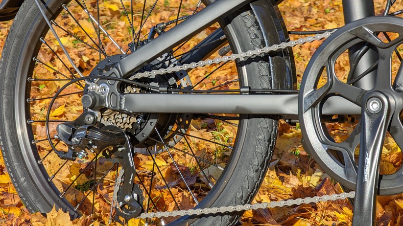 Laotie x Fiidoe D4S Pro