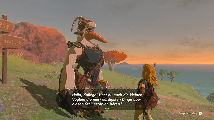  Tears of the Kingdom (Switch)