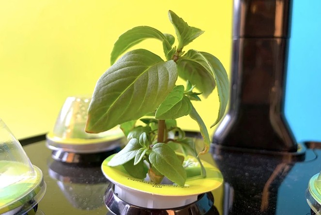 Der Aerogarden Harvest warnt, wenn Wasser oder Nährstoffe fehlen.