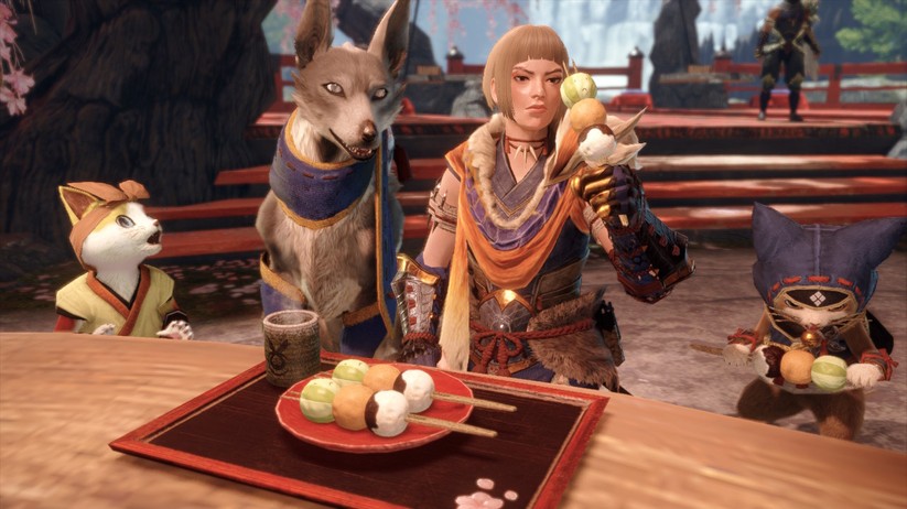 Monster Hunter Rise  21