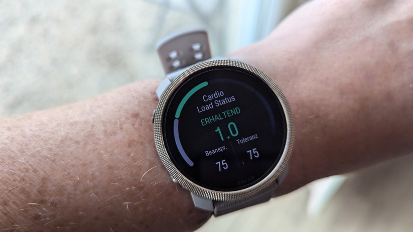 Polar Vantage M3