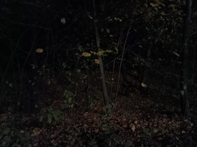 Oscal Tank 1 - Originalaufnahmen